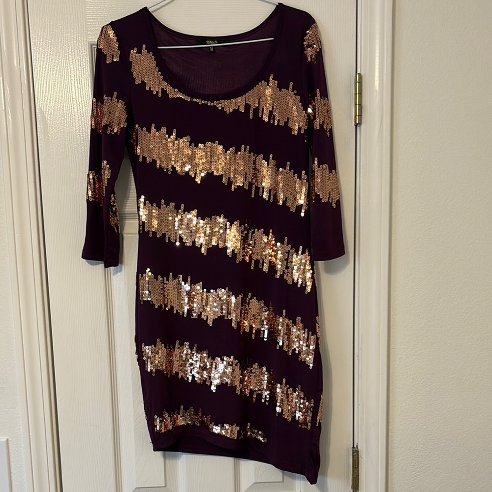 H&M Burgandy Sequin Bodycon Dress for Night Out